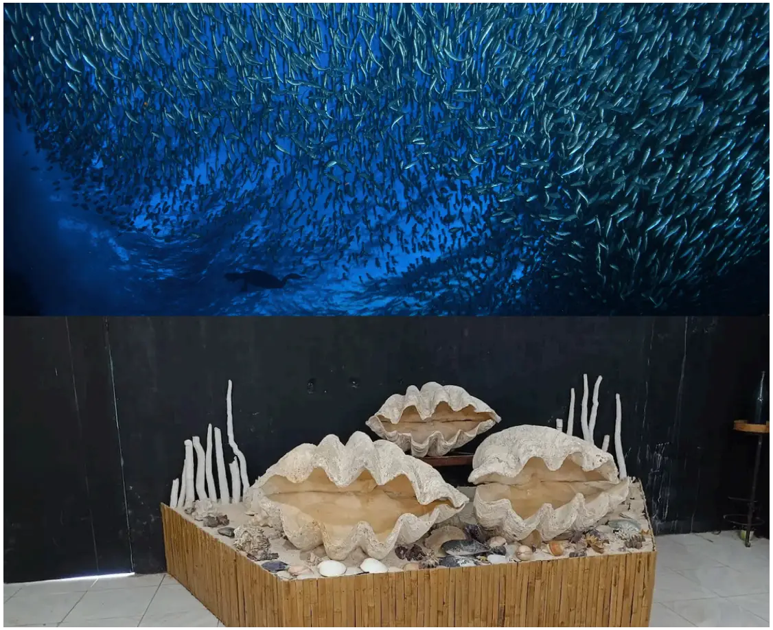 Panglao Tour w/ Napaling Sardines