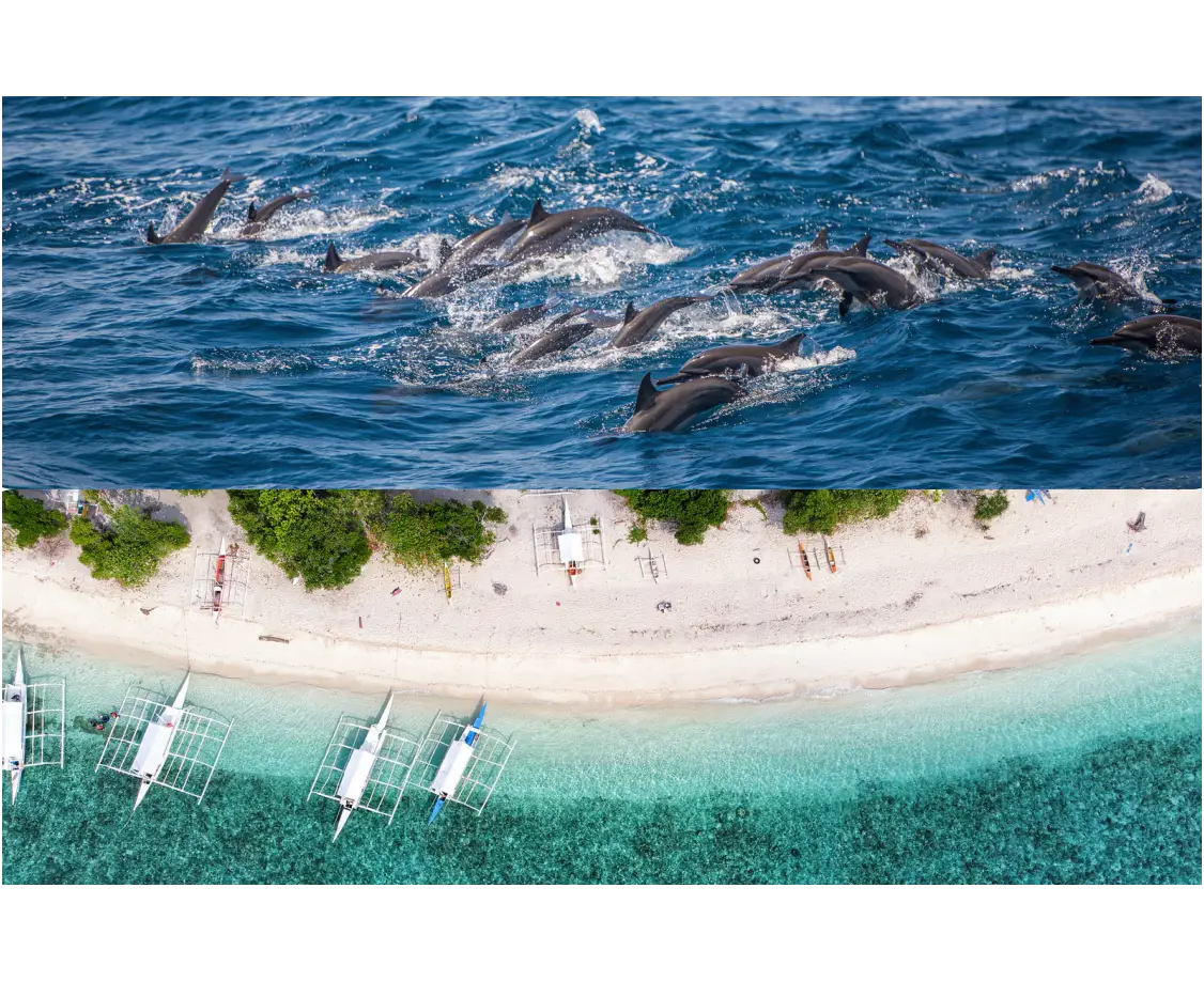 Panglao Island Hopping