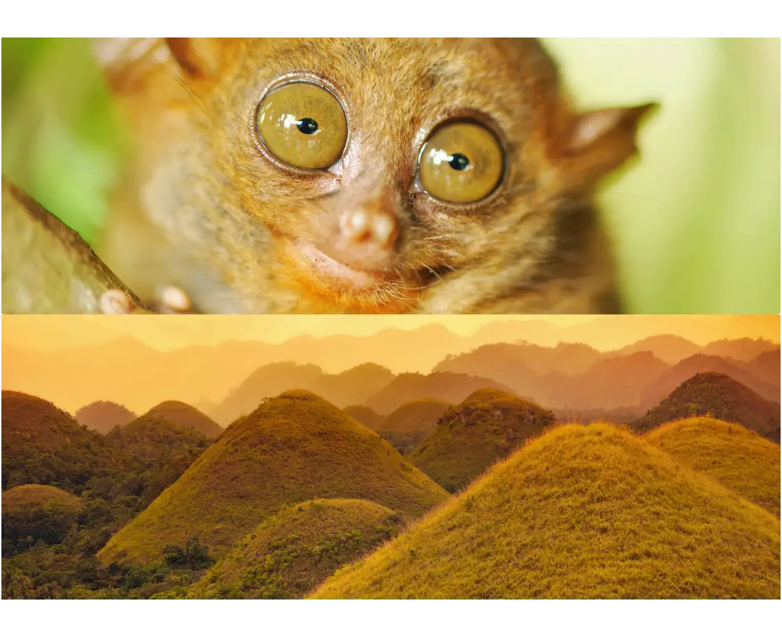 Countryside Tour-Tubigon