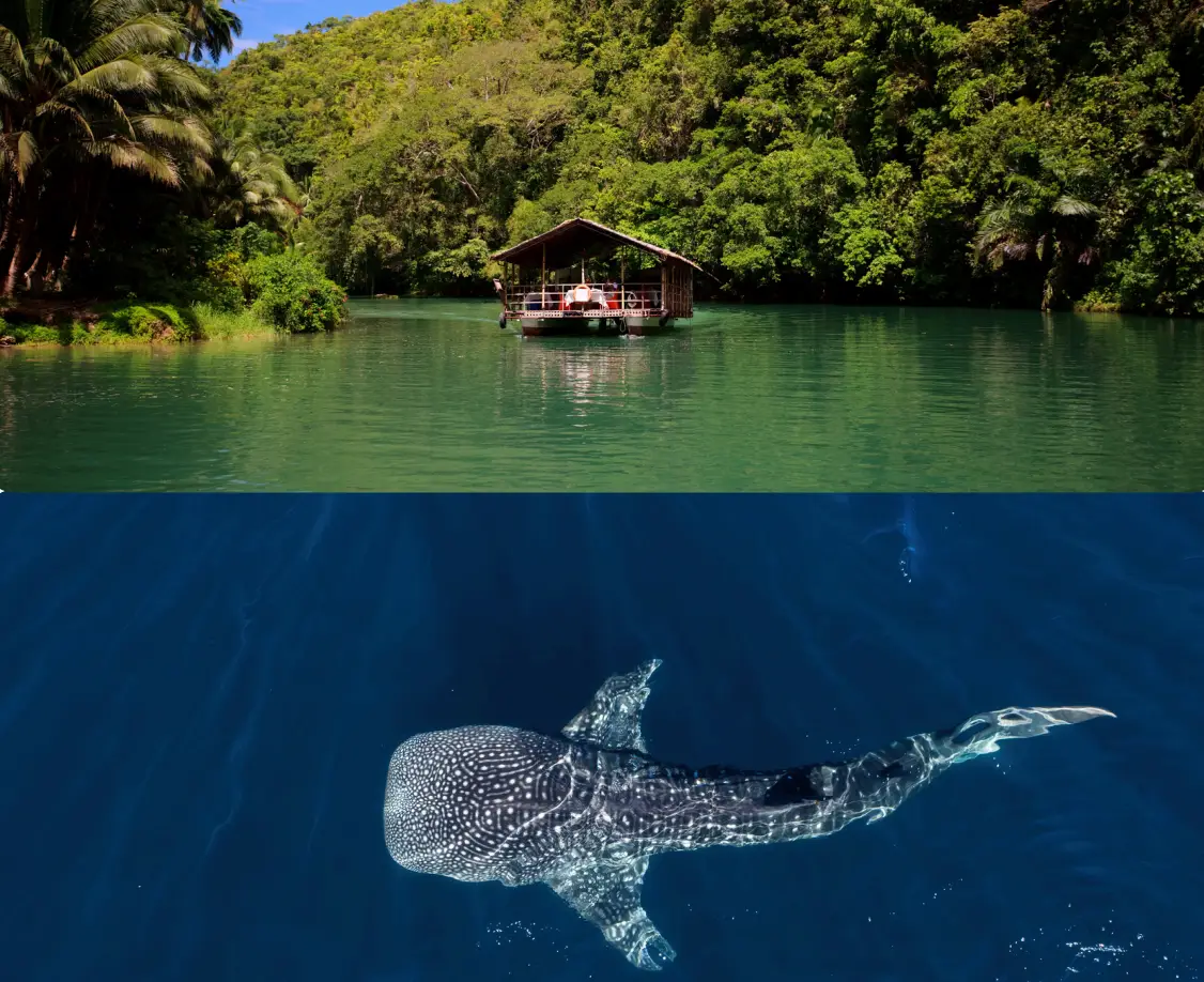 Countryside Tour w/ Whaleshark Watching